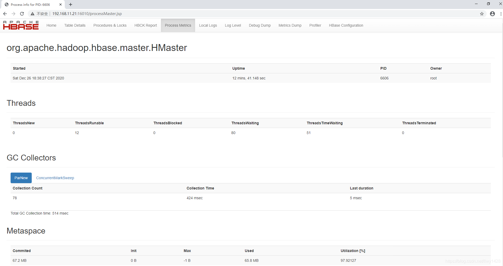 记一次 Centos7.6  基于 Hadoop3.x 集群部署 HBase 2.4.0 集群_hdfs_21