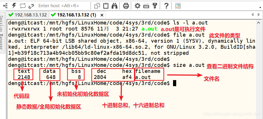 【Linux系统编程】进程内存模型_进程