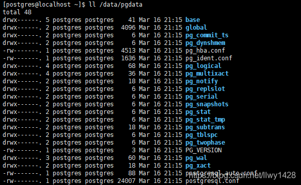 记一次 Centos7 安装 PostgreSql 数据库-指定数据存放地址_centos_06