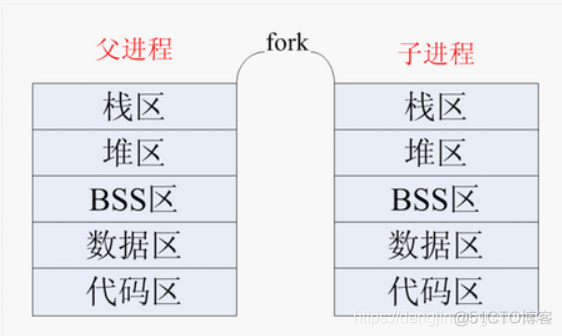 【Linux系统编程】fork()函数详解_fork_02