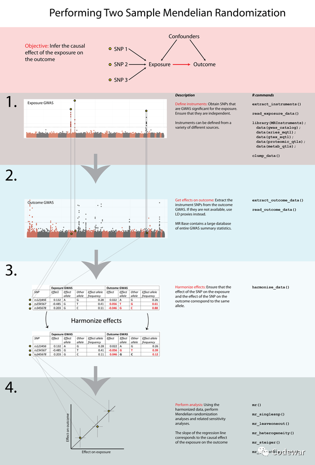 R数据分析：孟德尔随机化分析文献解析和实例操练_统计分析_03