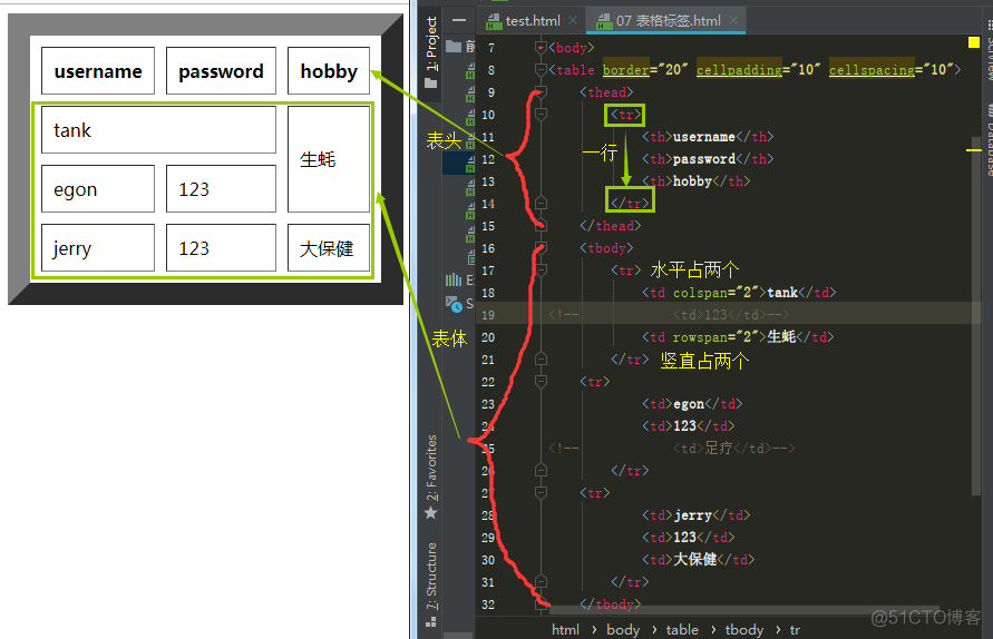 01 HTTP协议   HTML入门教程_表单_22