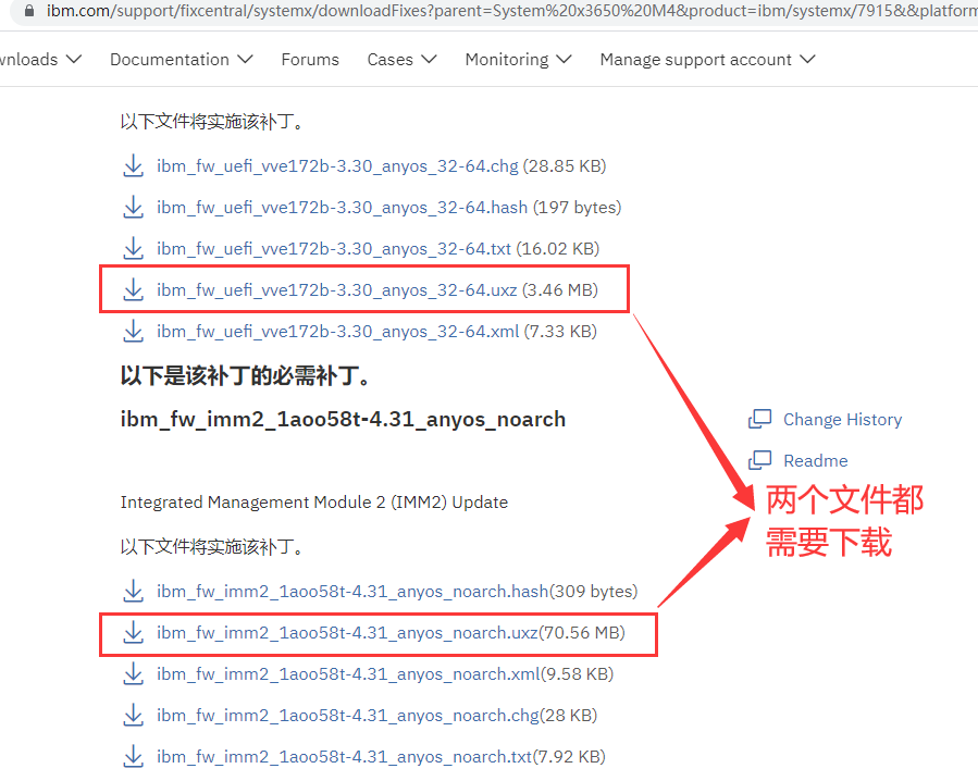 IBM X3650 M4 微码升级（BIOS升级）_重启