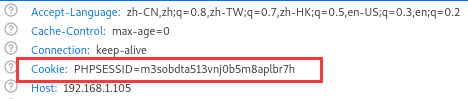 Vulnhub——DarkHole_2_python_13