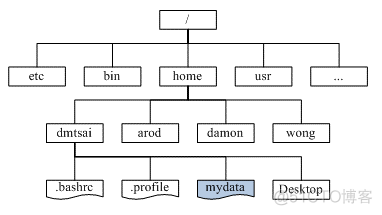 文件管理基础命令之一_子目录