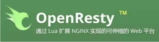 Nginx 通过 Lua + Redis 实现动态封禁 IP（转）_redis_02