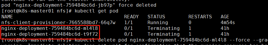 Kubernetes强制删除处于Terminating的Pod_nginx