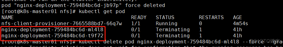Kubernetes强制删除处于Terminating的Pod_前端 数据 数据库 编程语言