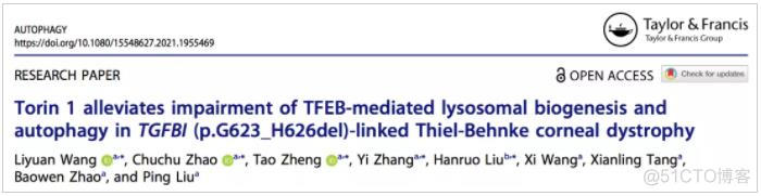 Autophagy丨哈医大一院刘平团队揭示TGFBI基因相关角膜营养不良发病新机制_JAVA