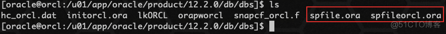 Oracle spfile 参数文件_oracle_05