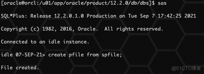 Oracle spfile 参数文件_数据库_15