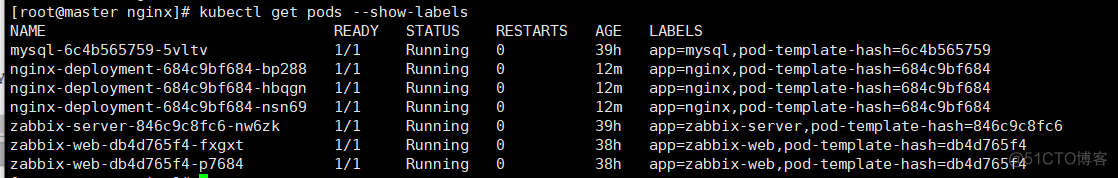 K8S系列：labe 理解_nginx