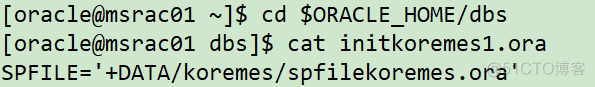 Oracle spfile 参数文件_参数文件_02