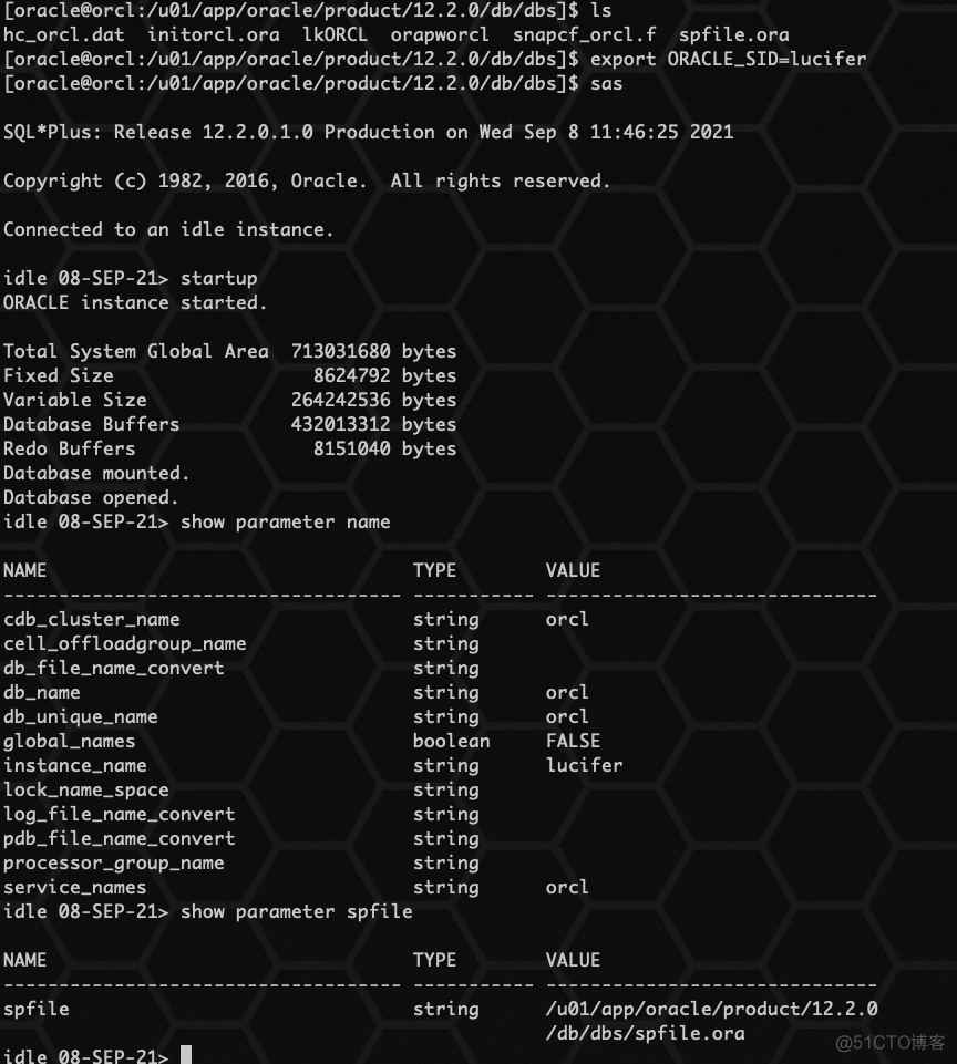 Oracle spfile 参数文件_sql_08