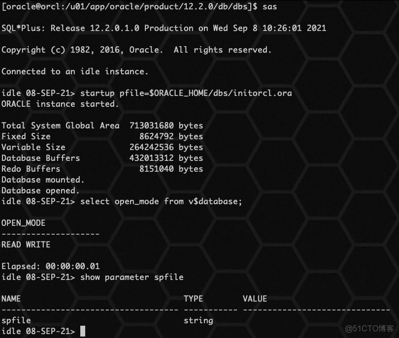 Oracle spfile 参数文件_参数文件_10