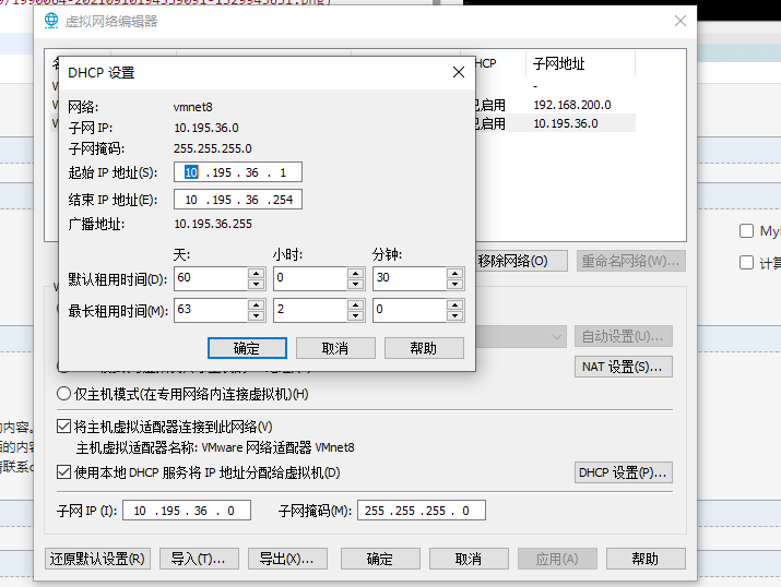 虚拟机如何设置静态ip_ip地址_04