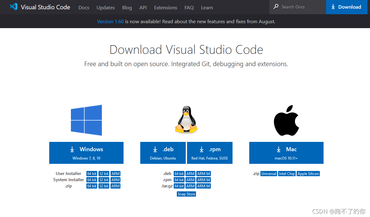 VScode 编译器配置IDE环境（C/C++/Go）_ide_02