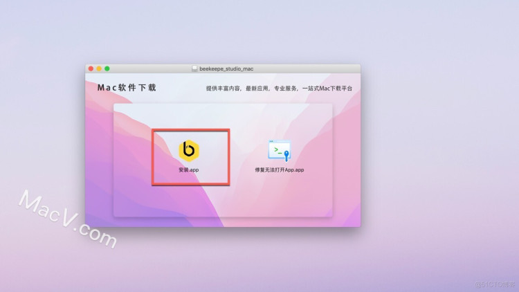Beekeeper Studio下载-Beekeeper Studio for mac(数据库管理器)- MacV
