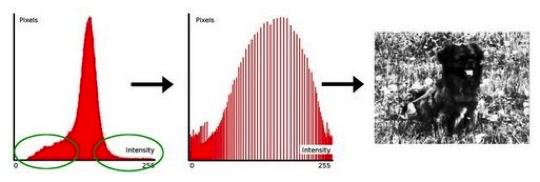 【OpenCV图像处理】1.23 直方图(Histogram)均衡化_#include