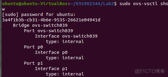 SDN实验2：Open vSwitch虚拟交换机实践_虚拟网络