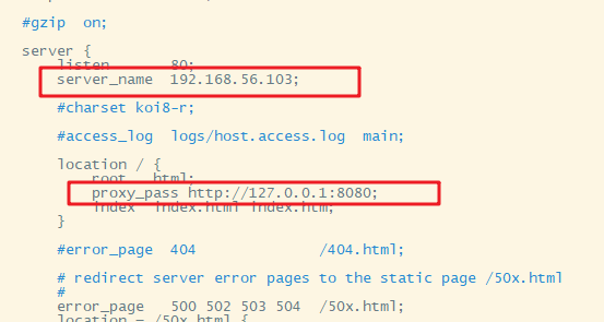 4、 Nginx配置实例-反向代理_配置文件_04