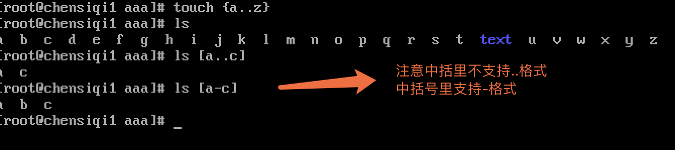 通配符_重定向_03