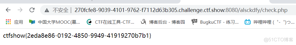 ctf_show-web入门-黑盒测试-380-387_文件包含_13