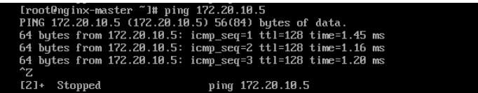 CentOS7 NAT模式设置固定IP_ip地址_07