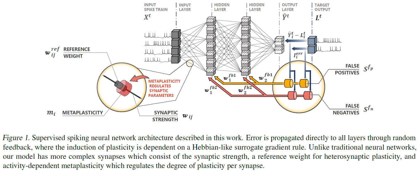 TACOS: Task Agnostic Continual Learning in Spiking Neural Networks_神经网络_06