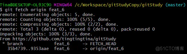 Git 进阶 - 获取 fetch_自动生成_10