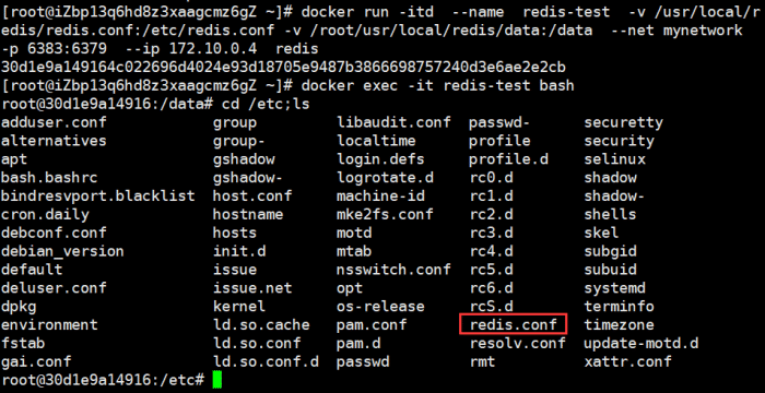【Docker】解决创建Redis容器没有conf配置文件_数据目录_04