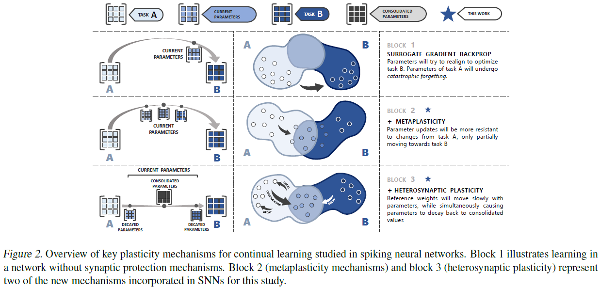 TACOS: Task Agnostic Continual Learning in Spiking Neural Networks_神经网络_07