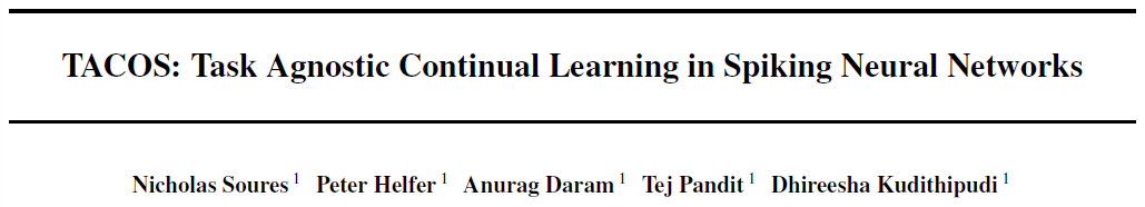 TACOS: Task Agnostic Continual Learning in Spiking Neural Networks_神经网络