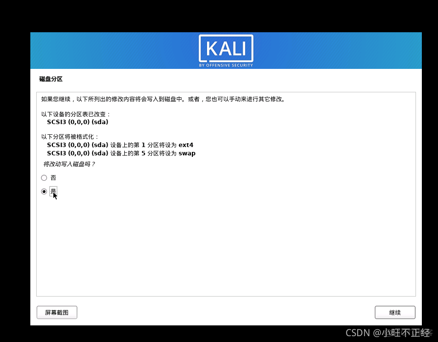 安装Kali Linux系统 全流程详解_单选按钮_18