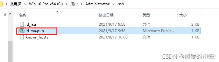 github设置免ssh密码登录--完美解决Please make sure you have the correct access rights and the repository exists._github_05
