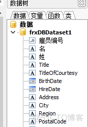 delphi FastReport快速入门_弹出窗口_05