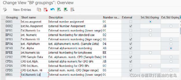 SAP S4HANA Buiness Partner名词解析_主数据_02