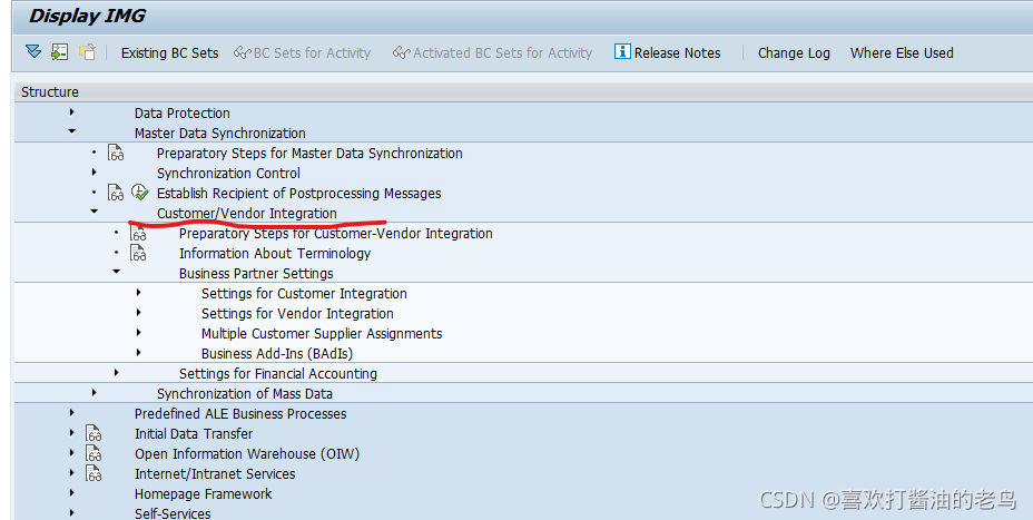 SAP S4HANA Buiness Partner名词解析_数据_03