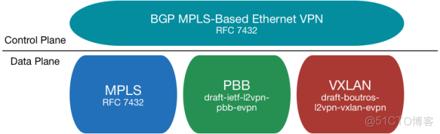 EVPN简介_多租户_10