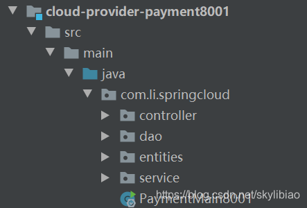 【springcloud合集】04：新建Moudle——微服务提供者支付模块_spring boot_05