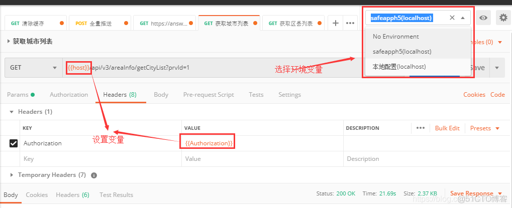 Postman设置环境变量_全局变量_05