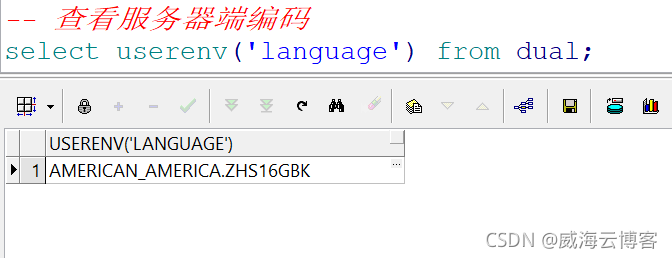 plsql中文乱码（查询显示问号？？？）_环境变量_04