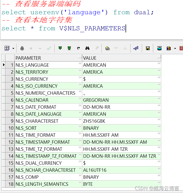 plsql中文乱码（查询显示问号？？？）_数据库服务器_06