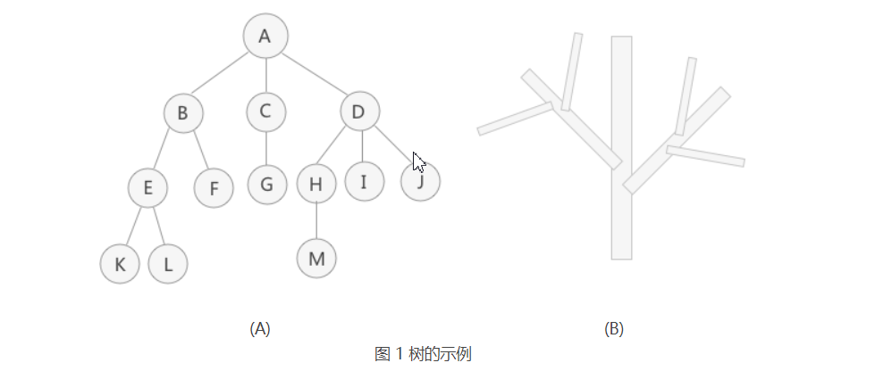 数据结构的树存储结构_数据