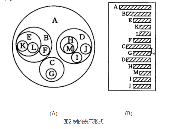 数据结构的树存储结构_结点_02