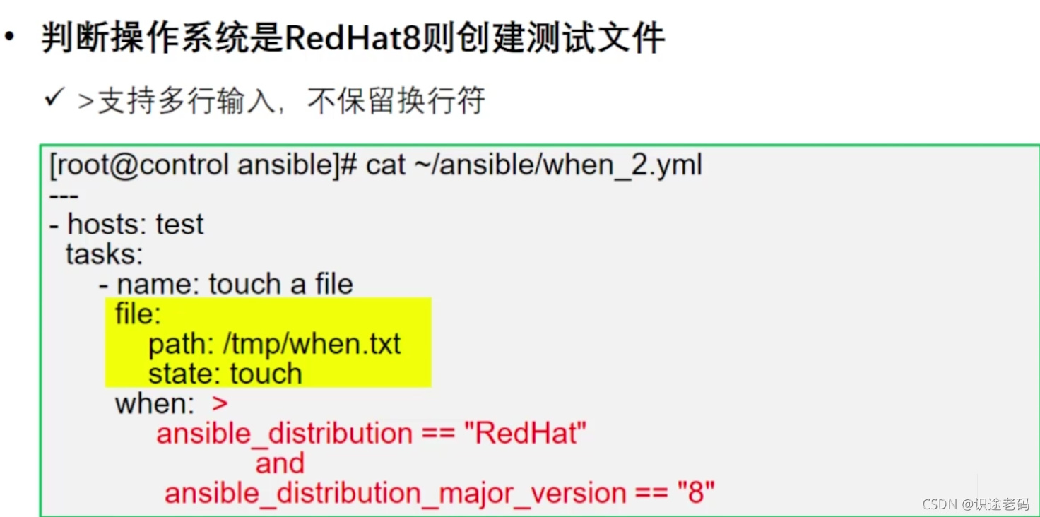 when条件判断_ansible_02