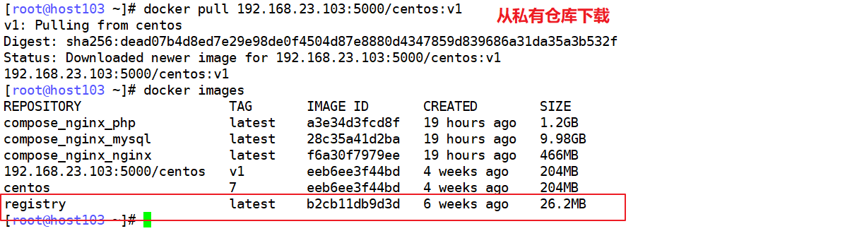 docker 私有仓库与Harbor_nginx_03