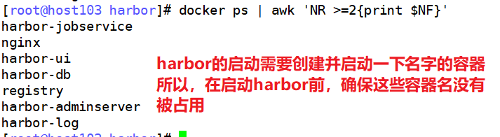 docker 私有仓库与Harbor_nginx_07