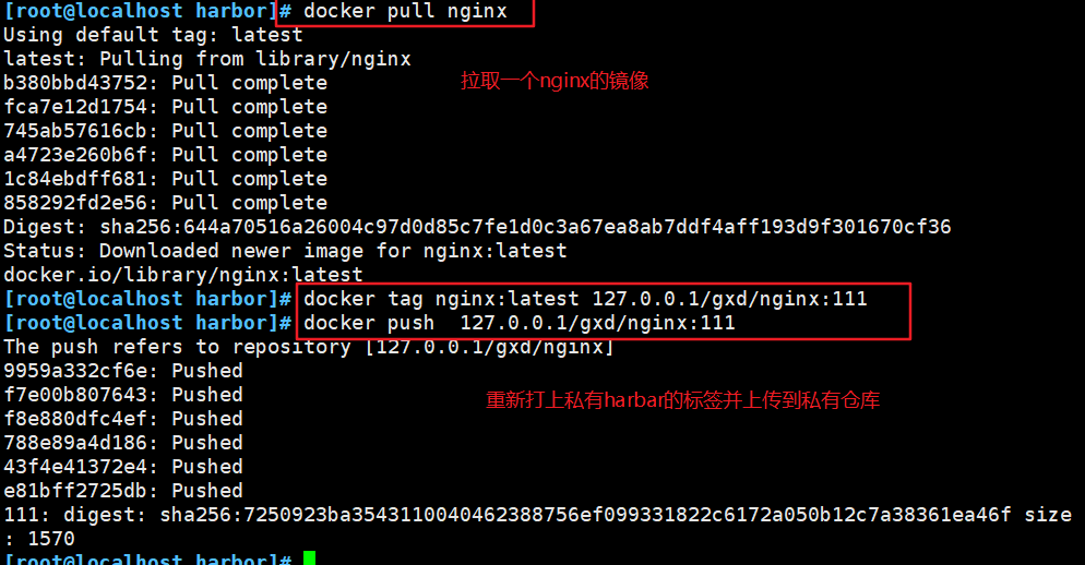 docker本地私有仓库与harbor私有仓库_重启_20